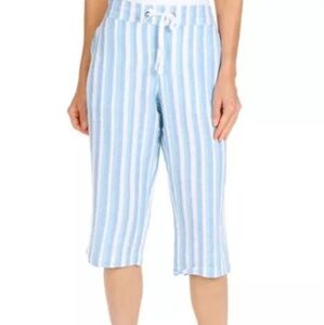 Dash Women's Linen blend blue Pinstripe crop wide leg pant Size PL NWOT